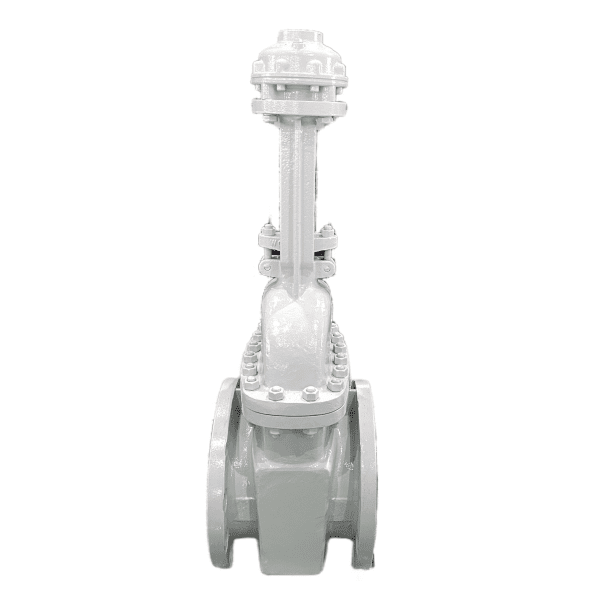 Bolted Bonnet Gate Valve Api Wcb Inch Lb Bosseal