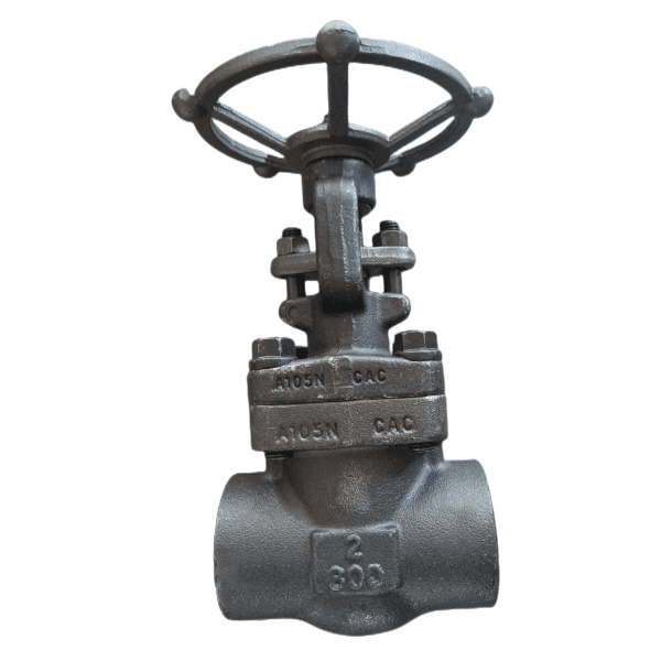 API 602 Forged Gate Valve, 2 Inch, 800 LB, ASTM A105, SW