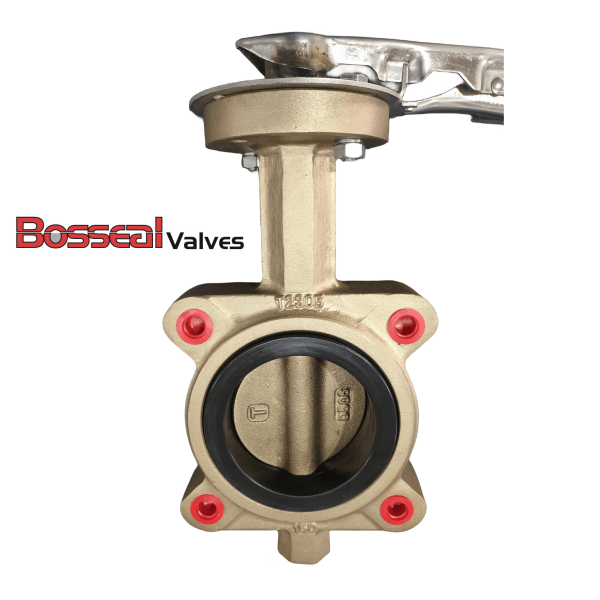 ASTM B148 C95800 Butterfly Valve, 3 IN, 150 LB, API 609, Lug