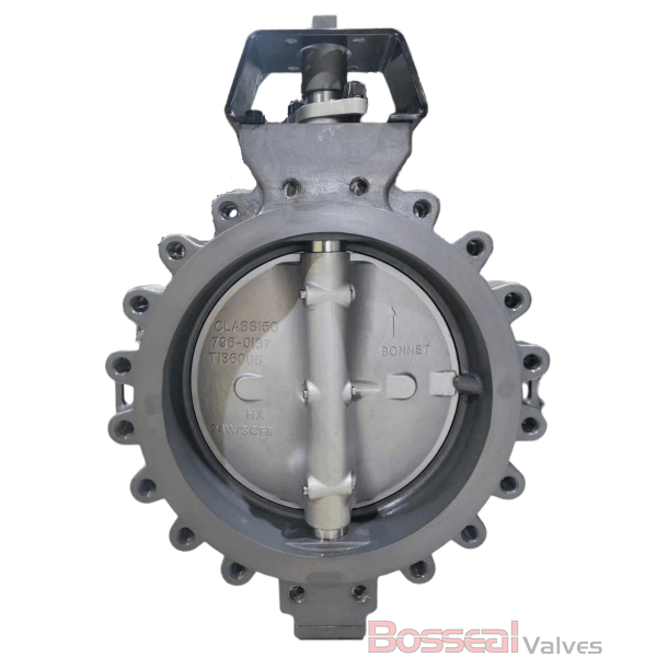 ASTM A351 CF8M Butterfly Valve, CL300, 3 IN, EN 593, Lug