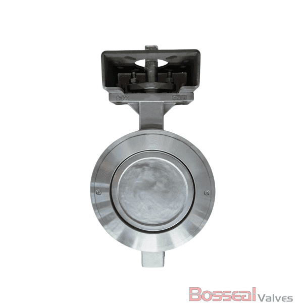 Double Eccentric Butterfly Valve, A351 CF8, 300 LB, 24 Inch