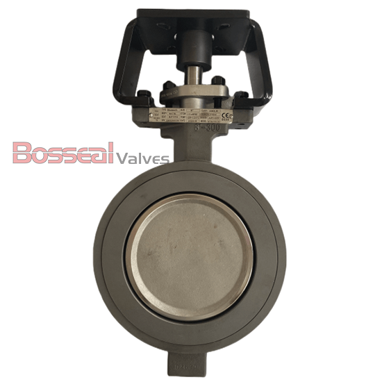 Duplex Stainless Steel Butterfly Valve, A890 4A, CL300, 3 IN