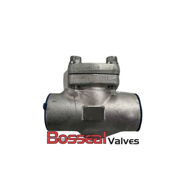 ASME B16.34 Piston Check Valve, 1/2IN, CL800, ASTM A182 F316