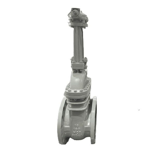 Bolted Bonnet Gate Valve, API 600, WCB, 16 Inch, 150 LB