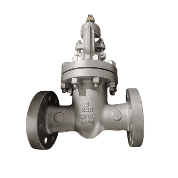 ASTM A351 CF8C Gate Valve, API 600, 603, 2 Inch, 600 LB, RF