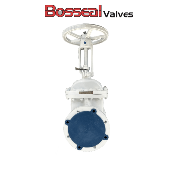 Bolted Bonnet Gate Valve, API 600, WCB, 6 Inch, 150 LB, RF