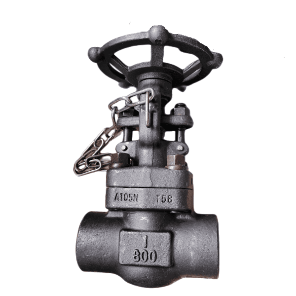 API 602 Forged Gate Valve, A105N, 1-1/2 Inch, 800 LB, SW