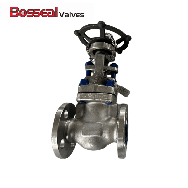 ASTM A182 F51 Gate Valve, ASME B16.34, 2 Inch, 150 LB, RF