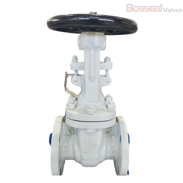 ASTM A351 CF8 Gate Valve, 10 IN, CL 2500 LB, OS&Y, PSB, SS