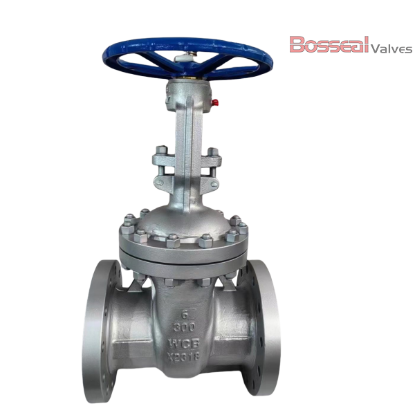 ASTM A351 CF8 Wedge Gate Valve, API 600, 3 IN, 900 LB