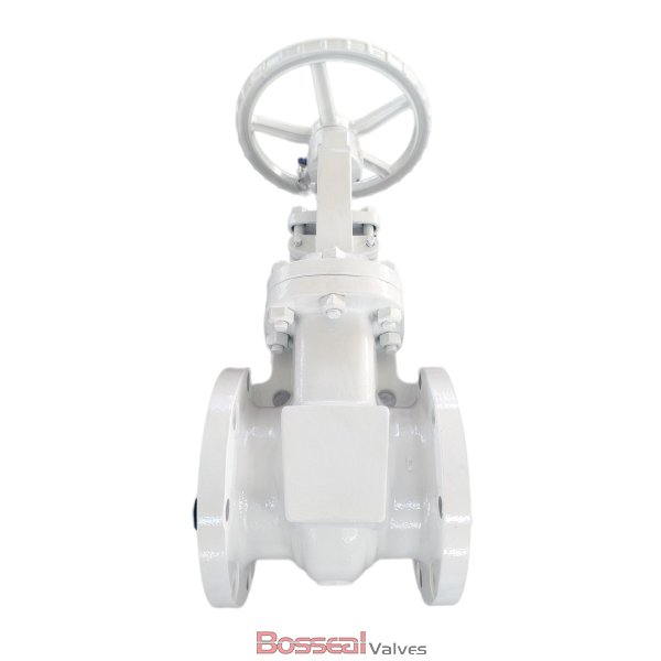 ASTM A351 CF8M Gate Valve, 4 Inch, 900 LB, OS&Y, API 600