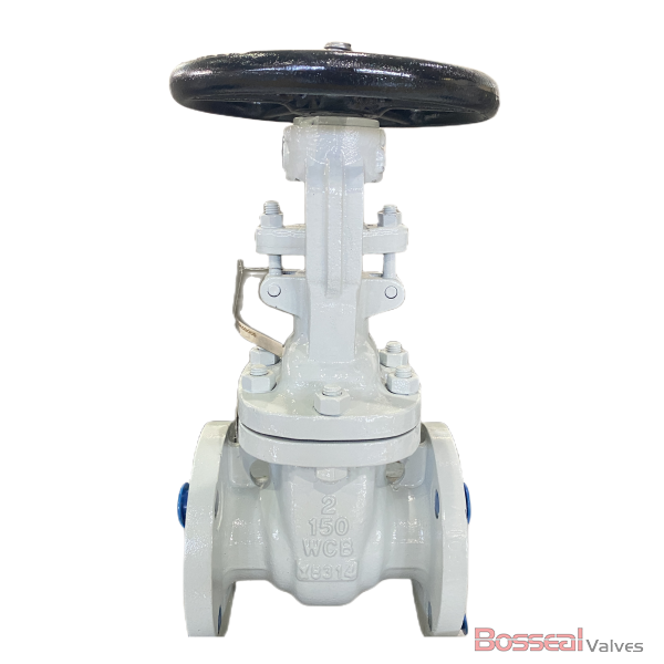 ASTM A351 CF8M Gate Valve, API 600, 2-1/2 IN, CL 1500, OS&Y