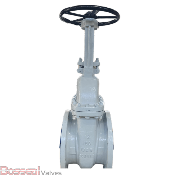 ASTM A351 CF8M Gate Valve, API 600, OS&Y, 2-1/2 IN, CL2500