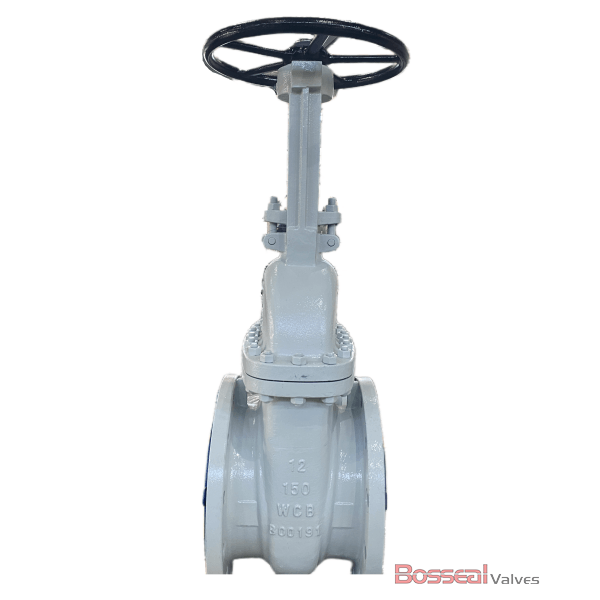 ASTM A351 CF8M Gate Valve, BB, OS&Y, 12 IN, CL600, API 600