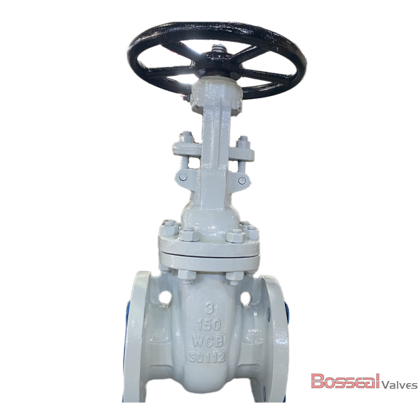 ASTM A351 CF8M Gate Valve, OS&Y, API 600, 14 IN, CL 900 LB