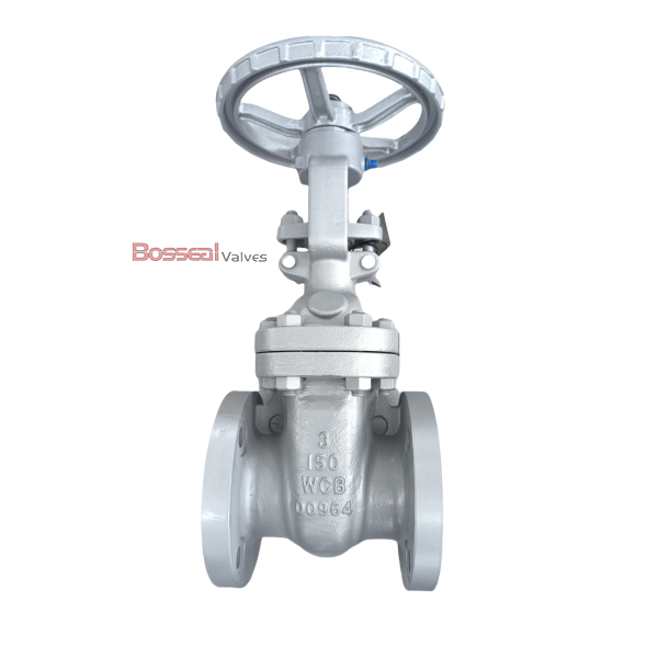 ASTM A351 CF8M Wedge Gate Valve, API 600, 4 IN, 600 LB