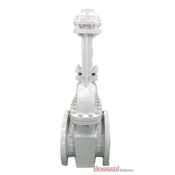 ASTM A352 LCB Gate Valve, API 600, 30 Inch, CL 600, OS&Y