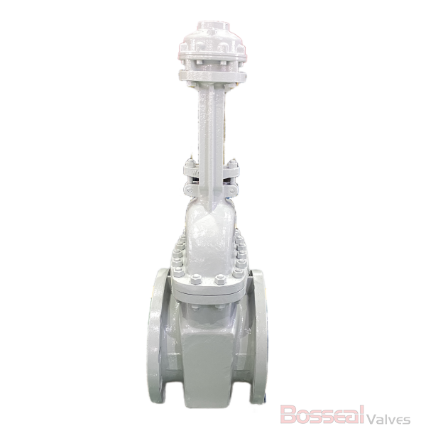 ASTM A352 LCB Gate Valve, OS&Y, API 600, 4 IN, CL 2500 LB