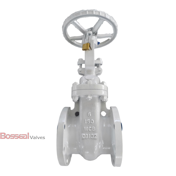 ASTM A890 5A Gate Valve, 2 IN, 1500 LB, API 600, RTJ Flanged