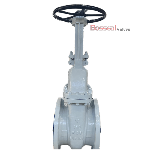 ASTM B148 C95800 Gate Valve, 12 IN, CL1500, API 600, BB