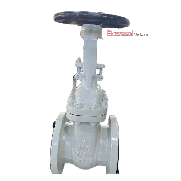 ASTM B148 C95800 Gate Valve, 24 IN, CL 600 LB, OS&Y, PSB