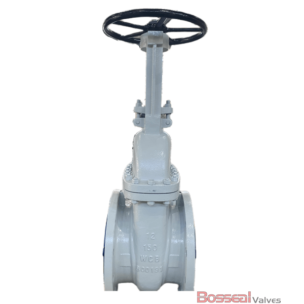 ASTM B148 C95800 Gate Valve, BB, OS&Y, 10 IN, CL900, API 600