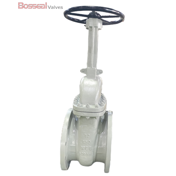 ASTM B148 C95800 Wedge Gate Valve, 3 Inch, 1500 LB, RTJ