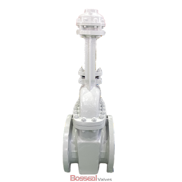 Bolted Bonnet Gate Valve, A351 CF8M, 12 IN, CL 300, API 600