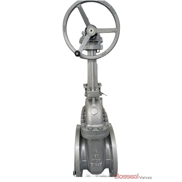 Bolted Bonnet Gate Valve, ASTM B148 C95800, API 600, 10 IN