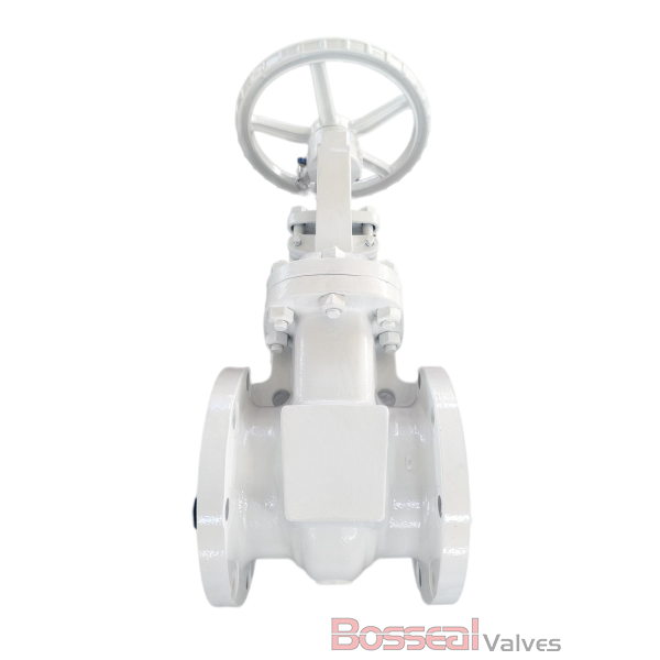 Bolted Bonnet Gate Valve, OS&Y, ASTM A890 5A, 2500 LB, 2 IN