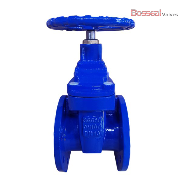 Flanged Resilient Gate Valve, DN200, PN15, DIN 3352, A536