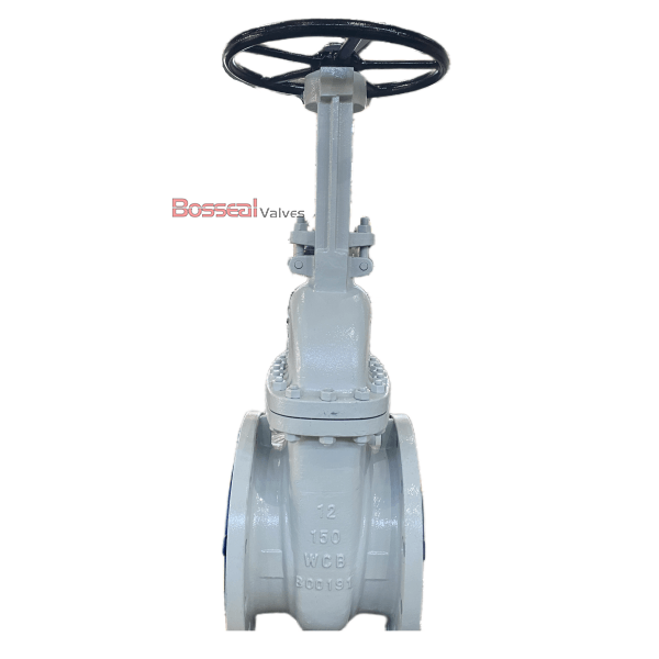 Flexible Wedge Gate Valve, 4A, 40 Inch, 150 LB, RF Flanged