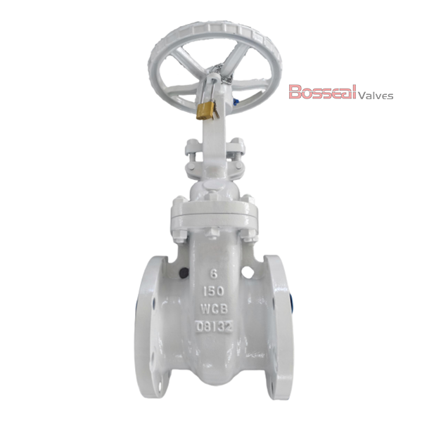 Flexible Wedge Gate Valve, CF8M, 36 Inch, 300 LB, RF Flanged