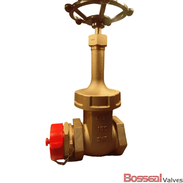 MSS SP-80 Bronze Gate Valve, ASTM B62, 2 IN, CL 200 LB