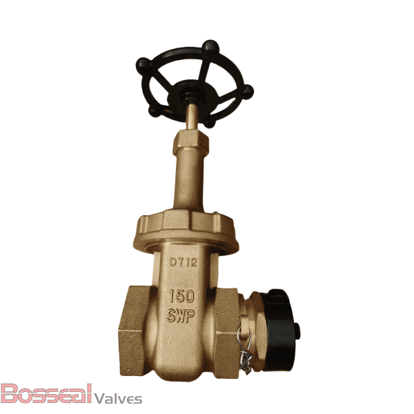 MSS SP-80 Bronze Gate Valve, C83600, 3/4 IN, 300 LB, NPT