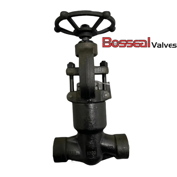 API 602 Pressure Seal Globe Valve, 2 Inch, 1700 LB, A182 F22 - Bosseal